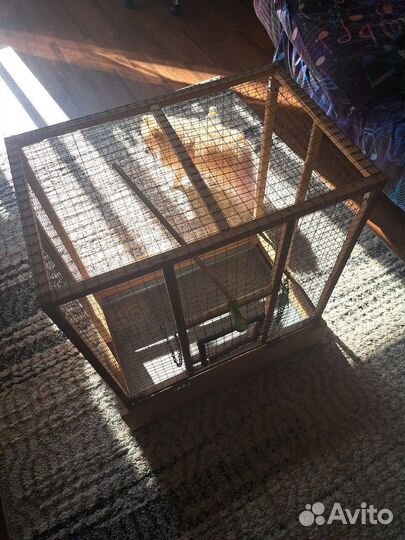 Клетка для птиц,размер 640х420х720