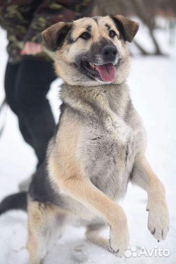 Молодая и активная девочка Валя