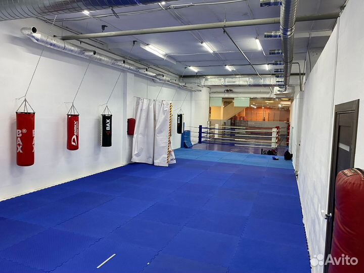 Бокс, кикбоксинг, офп и спортивная акробатика