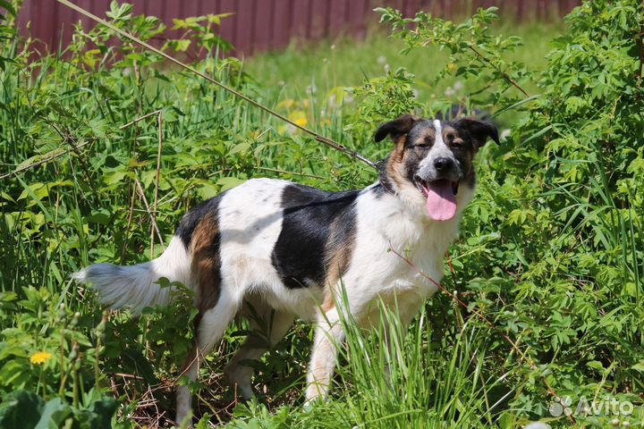 Мальчик Джек