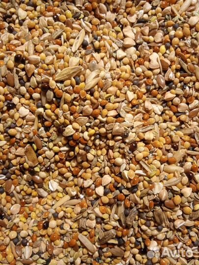 Корм для грызунов