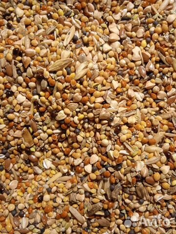 Корм для грызунов