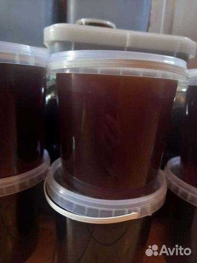 Мед алтайский