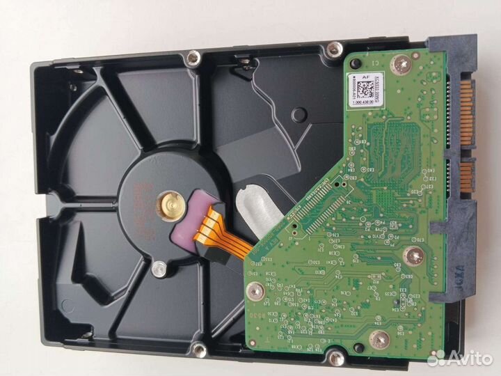 Жесткий диск 1 тб Western Digital