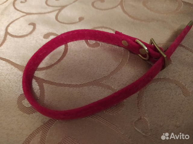 Ошейник для кошек