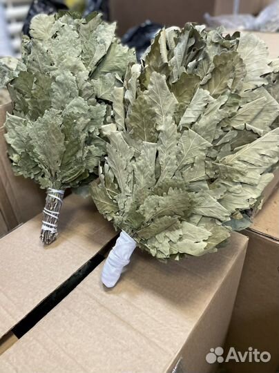 Дубовые веники. Веники и травы для бани