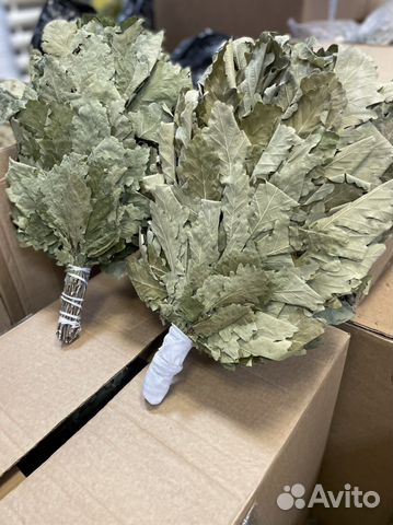 Дубовые веники. Веники и травы для бани