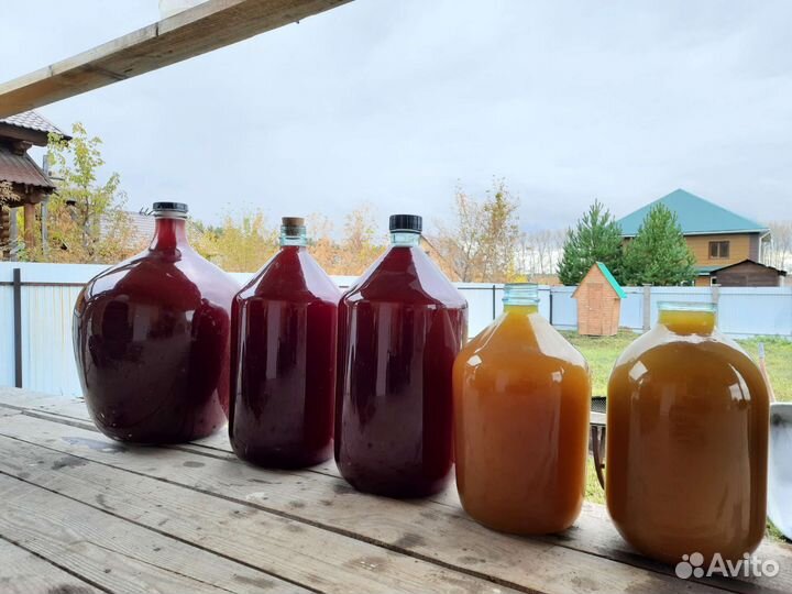 Соковыжималка. Пресс для яблок. Измельчитель