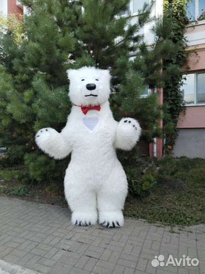 Поздравление. Мишка. Аниматор. Ростовая кукла