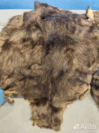 Бобриные шкурки