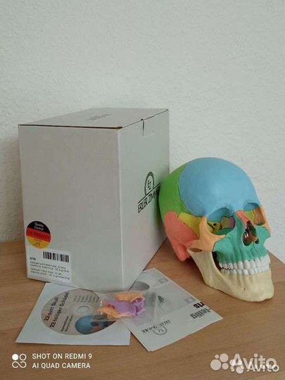 Череп, 22 части, Германия