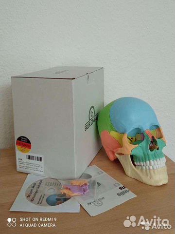 Череп, 22 части, Германия