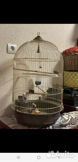 Клетка для попугая бу