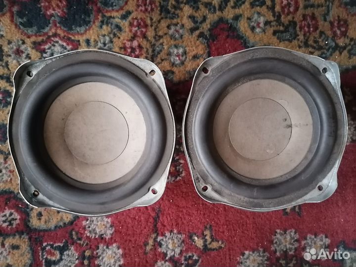 Пара китайских низкочастотников