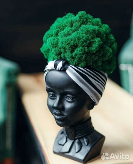 Мох, растения, декор. Озеленение интерьера