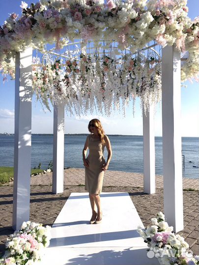 Ведущая на праздники