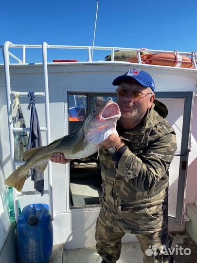 Рыбалка / Треска / Горбуша