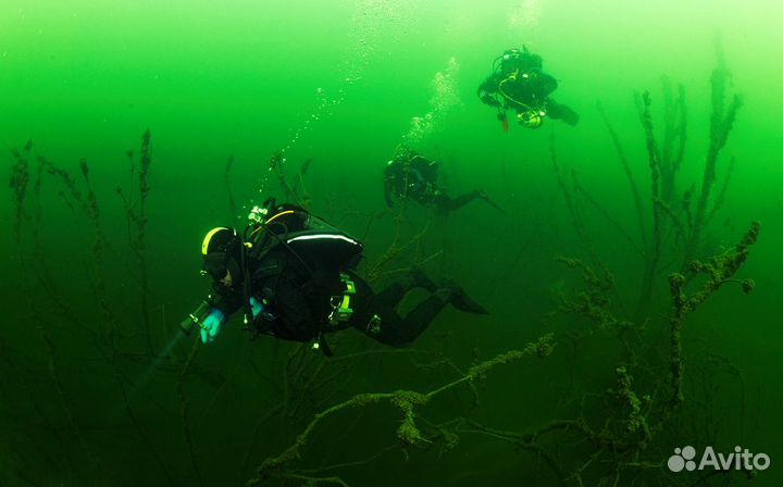 Дайвинг/пробное погружение с аквалангом