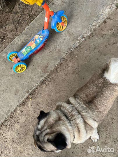 Самокат детский трехколесный бу