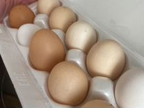 Яйцо куриное домашнее