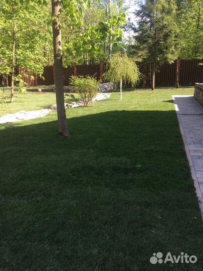 Рулонный газон от производителя