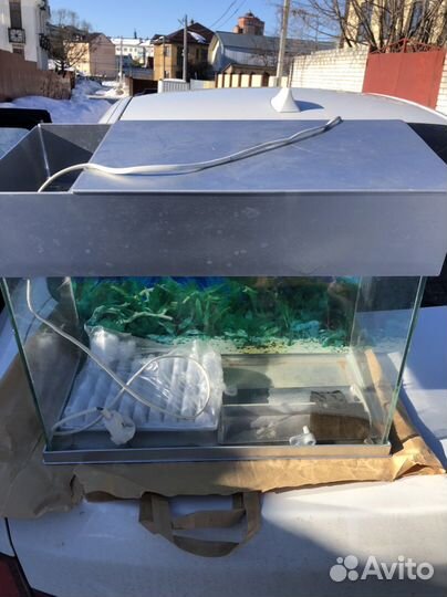 Аквариум 20 литров
