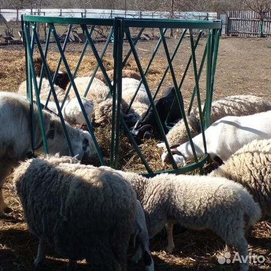 Кормушка для овец и для пастушок-1