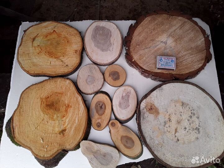 Спилы (Срезы) дерева для декора (торцевые)