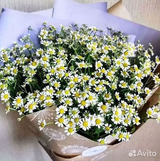 Доставка цветов. Ромашки