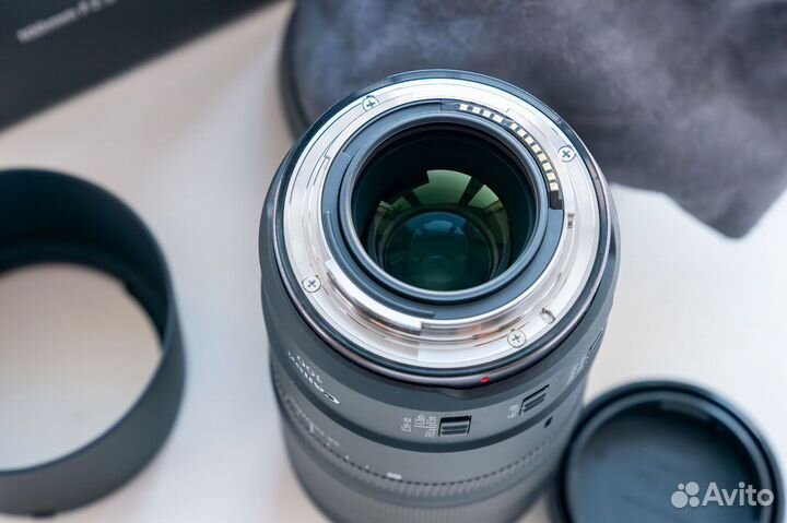 Canon RF 100mm F2.8L Macro IS USM