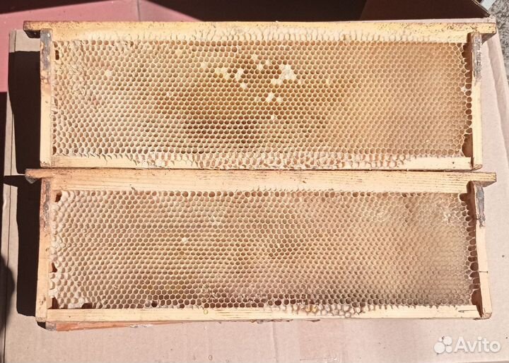 Магазинные рамки сушь (Дадан)