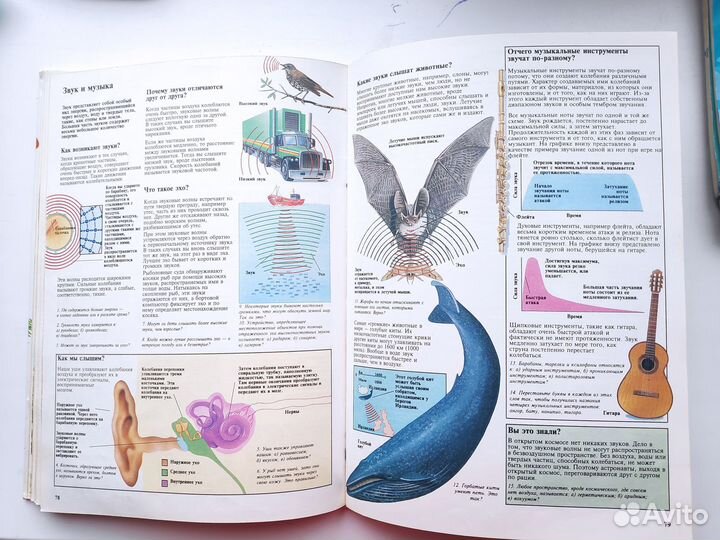 Книга Месть драконов