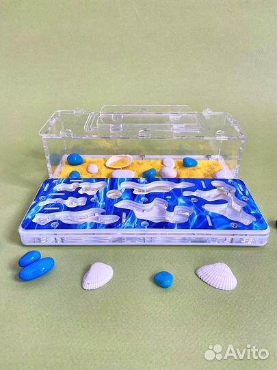 Муравьиная ферма с муравьями