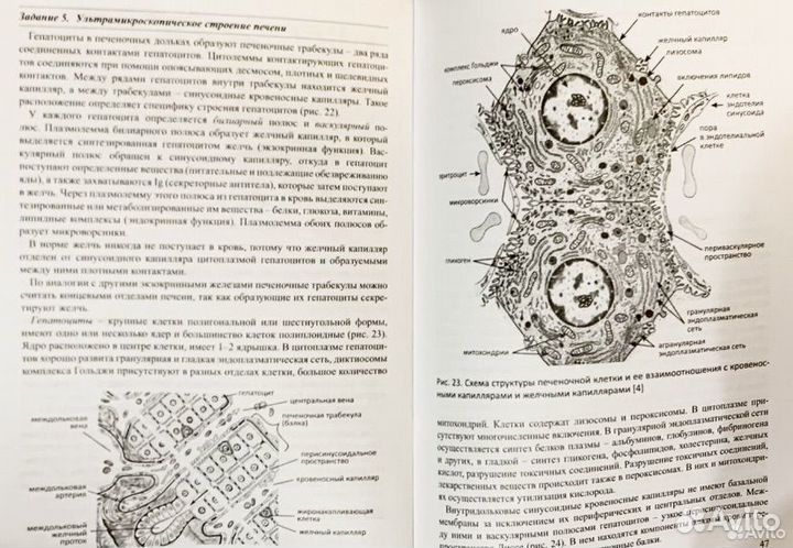 Книги по анатомии и гистологии