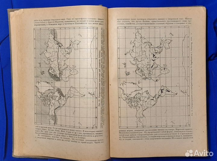Общая зоогеография. В.Г. Гептнер. Биомедгиз 1936 г