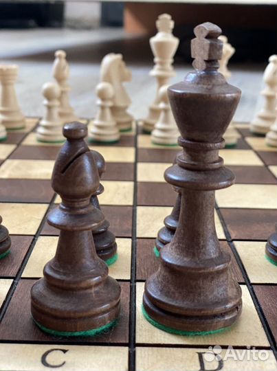 Шахматы профессиональные