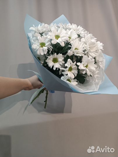 Букет из 3х веточек хризантем ромашек в упаковке