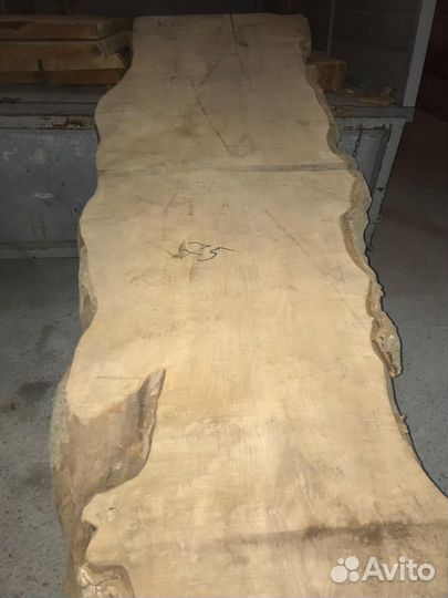 Слэб Карагача. Новосибирск