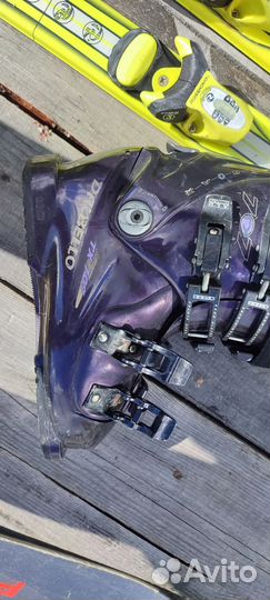 Горные лыжи