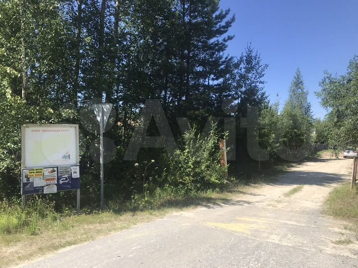Участок 6 сот. (СНТ, ДНП)