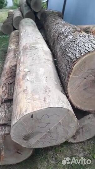 Дубовая бочка 50 л для вина