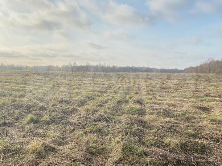 Участок 32,7 га (СНТ, ДНП)