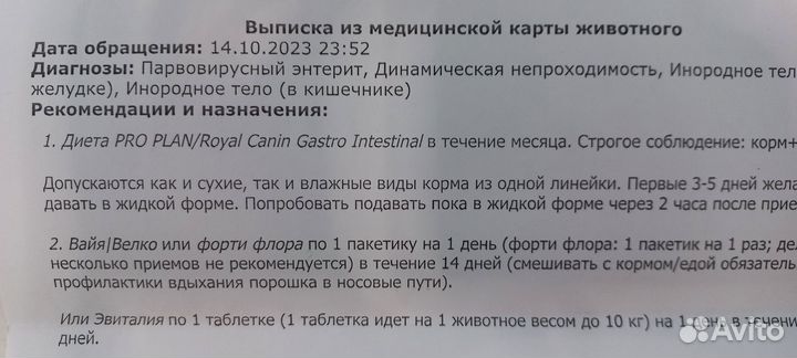 Корм для собак