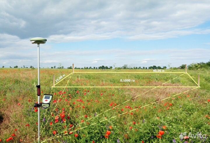 Оформление земельного участка