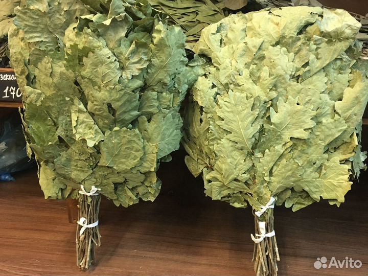 Кавказский дубовый веник