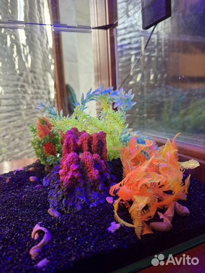 Аквариум 30л с комплектующими