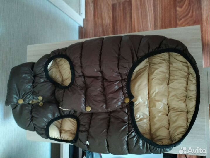 Одежда для собак