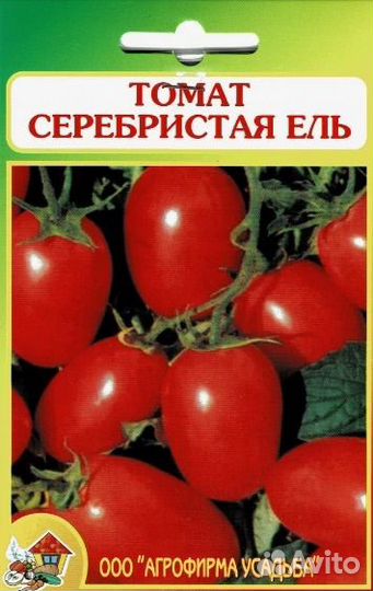 Рассада помидор, огурцов, кабачков, тыквы