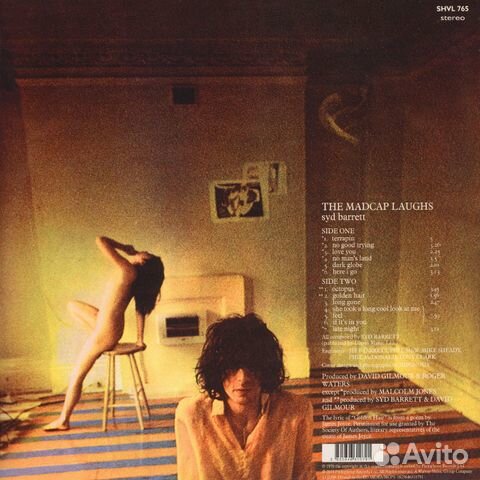 Syd Barrett / The Madcap Laughs (LP)