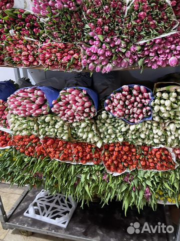 Тюльпаны к 8 марта оптом